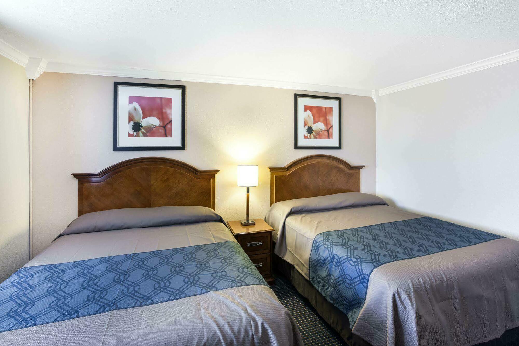 University Inn & Suites Сан Антонио Екстериор снимка